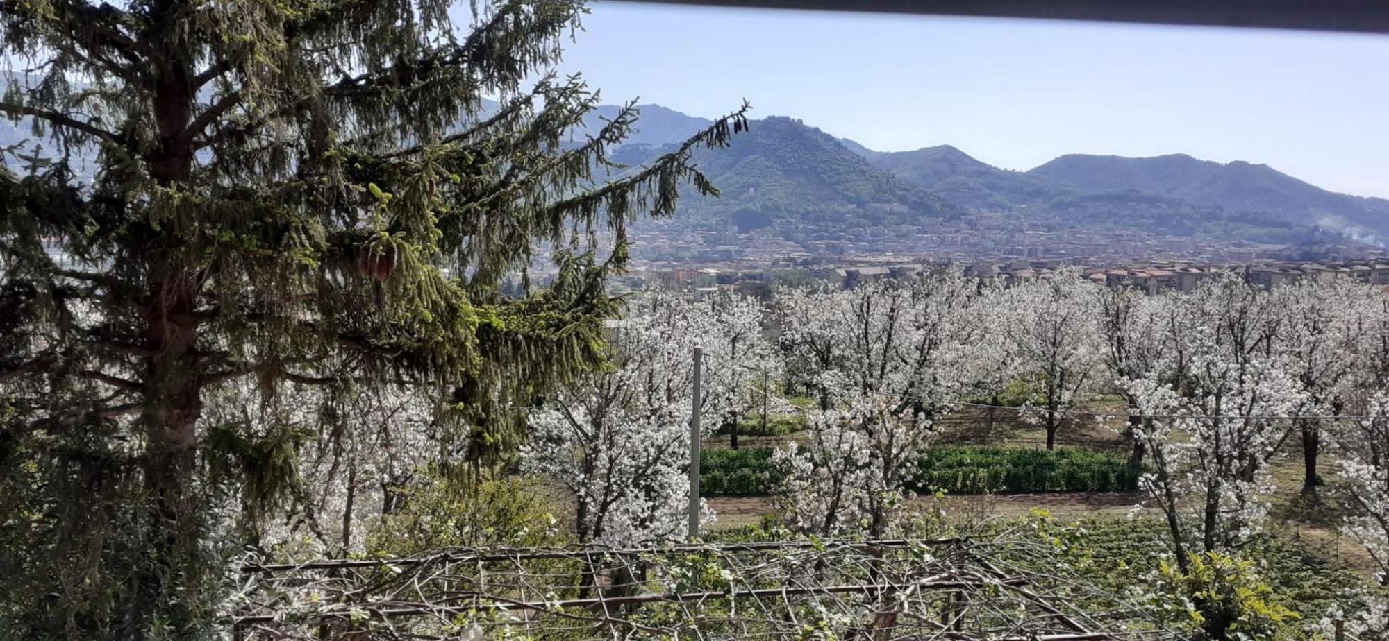 Lanovella Βίλα Cava deʼ Tirreni Εξωτερικό φωτογραφία